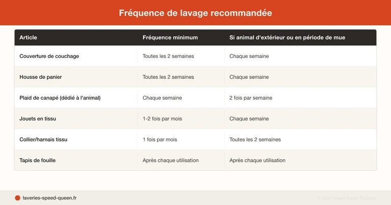 Laver couvertures et paniers d'animaux de compagnie en laverie automatique