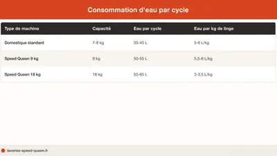 Laverie écologique : impact des machines pro