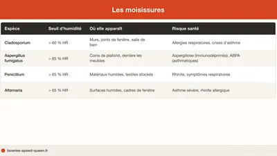 Sécher son linge à l'intérieur : humidité et moisissures